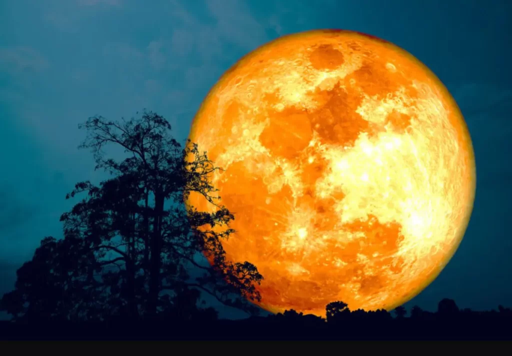 Full Moon August 2023 – Full moons, supermoons, blue moons and a meteor shower. When to see them all in August